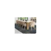 ALFOMBRA ETHNIC CHENILLE