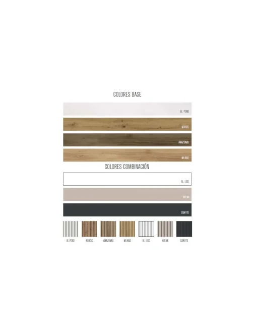 COMPOSICIÓN 01