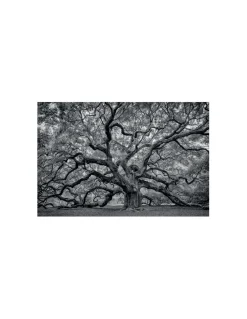 CUADRO ARBOL B/N