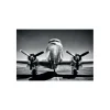 CUADRO AVION