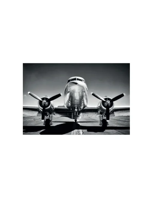 CUADRO AVION