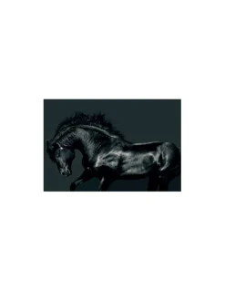 CUADRO CABALLO