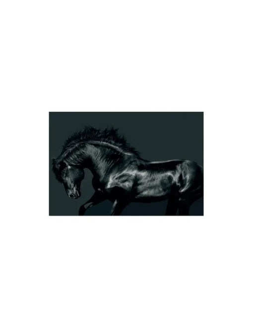CUADRO CABALLO
