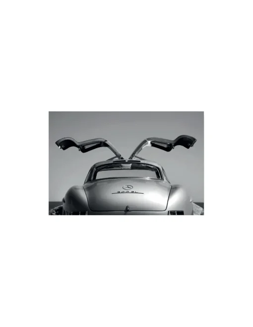 CUADRO COCHE