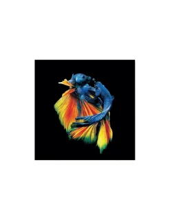 CUADRO PECES