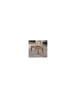 MESA CENTRO ELEVABLE RAMIS