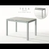 MESA EXTENSIBLE TESA
