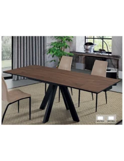 MESA FOREST PATA X