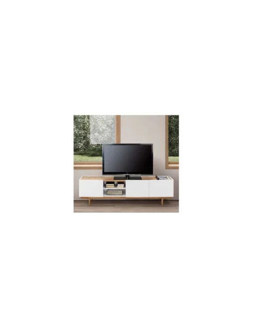 MODULO T.V ERIKA