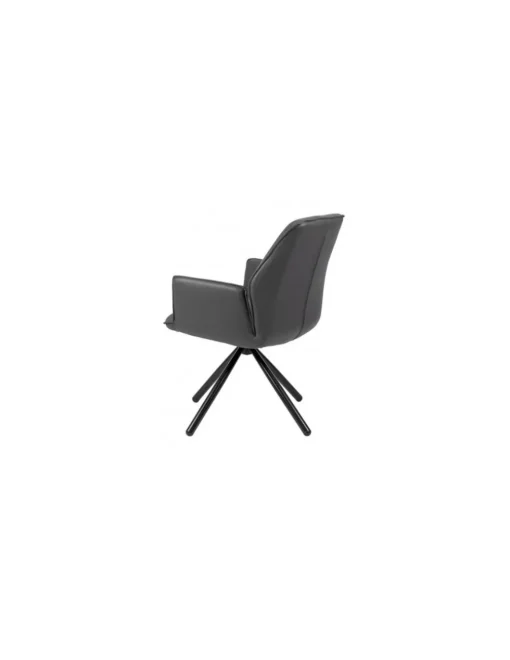 SILLON CARLYN