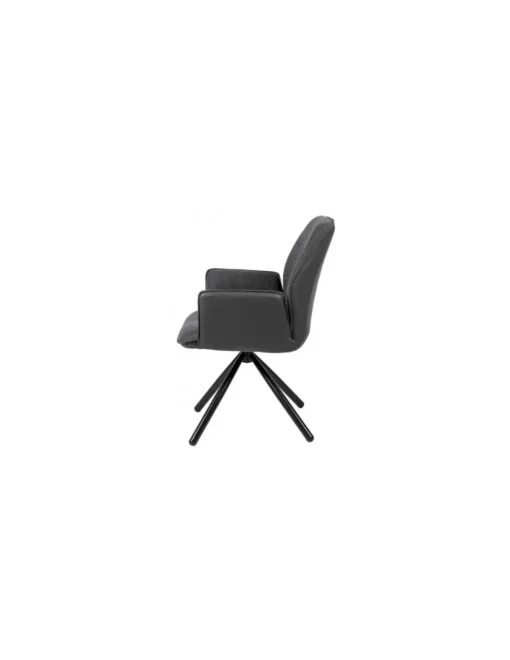 SILLON CARLYN